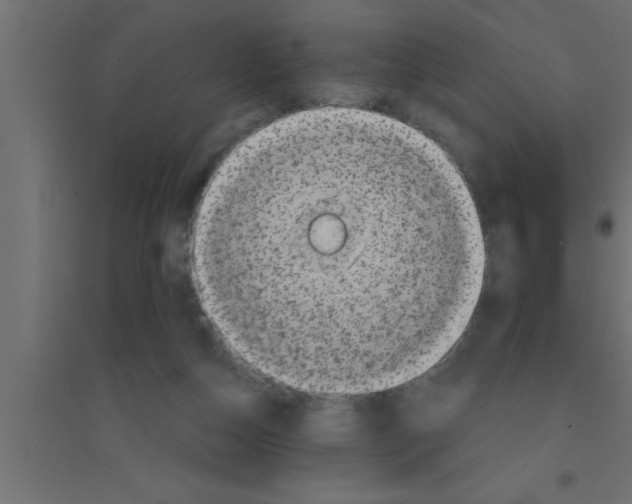 X0000094210162200711241707