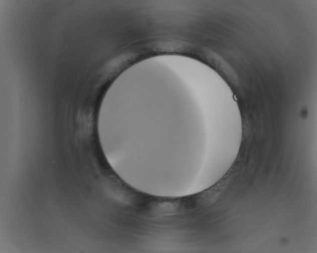 X0000094210163200711241707