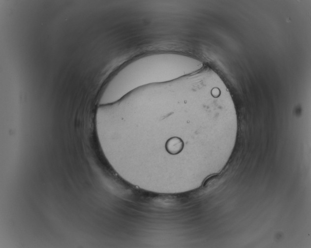 X0000094210164200711241707