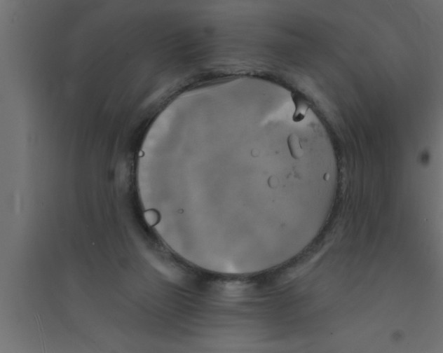 X0000094210165200711241707
