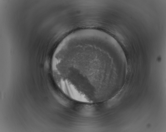 X0000094210166200711241707