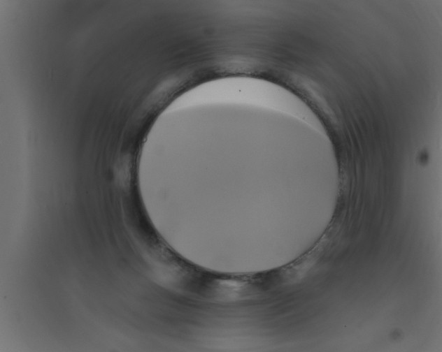 X0000094210167200711241707