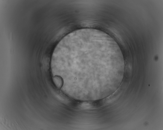 X0000094210171200711241707