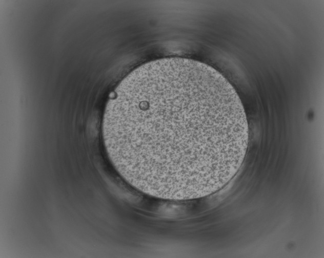 X0000094210174200711241707
