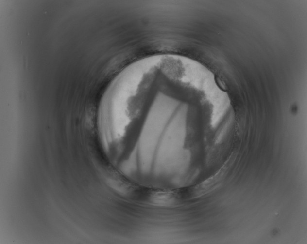 X0000094210175200711241707