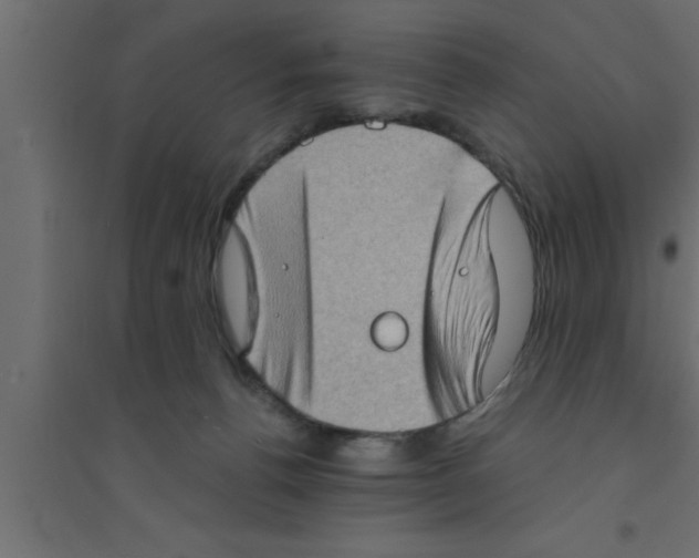 X0000094210176200711241707