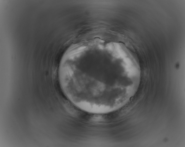 X0000094210177200711241707
