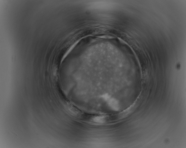 X0000094210178200711241707