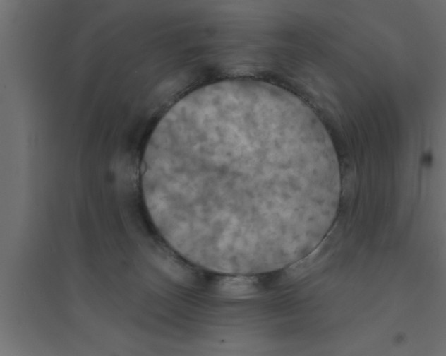 X0000094210179200711241707