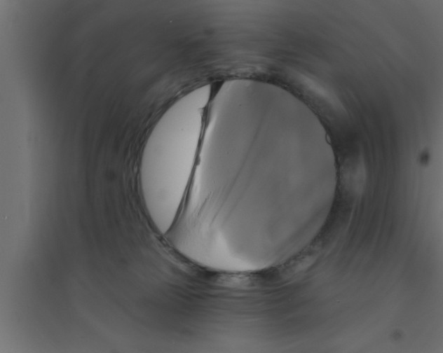 X0000094210181200711241708