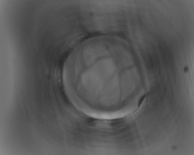 X0000094210182200711241708