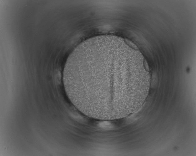 X0000094210183200711241708