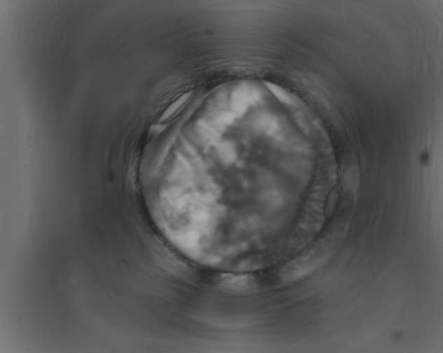 X0000094210185200711241708
