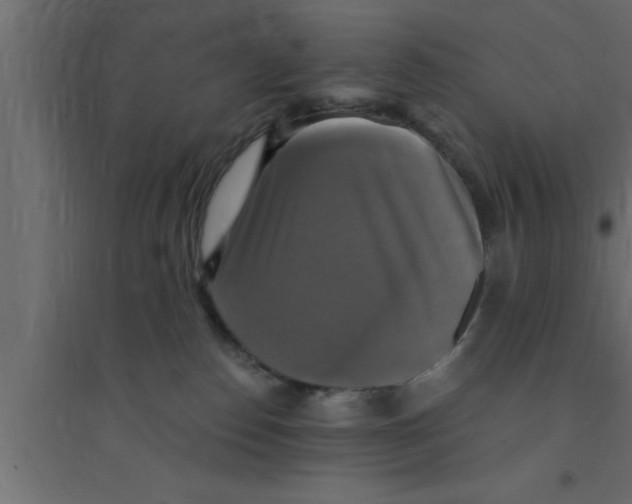 X0000094210186200711241708