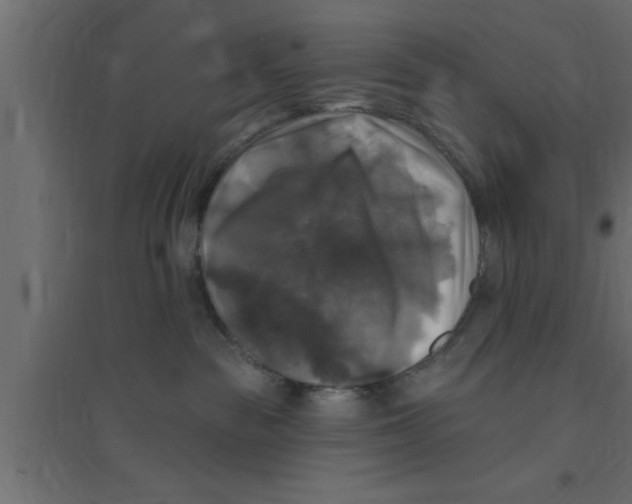 X0000094210189200711241708