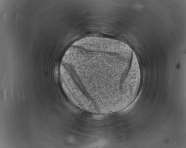 X0000094210190200711241708