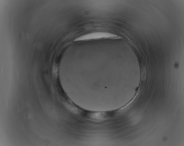 X0000094210191200711241708