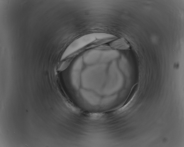 X0000094210192200711241708