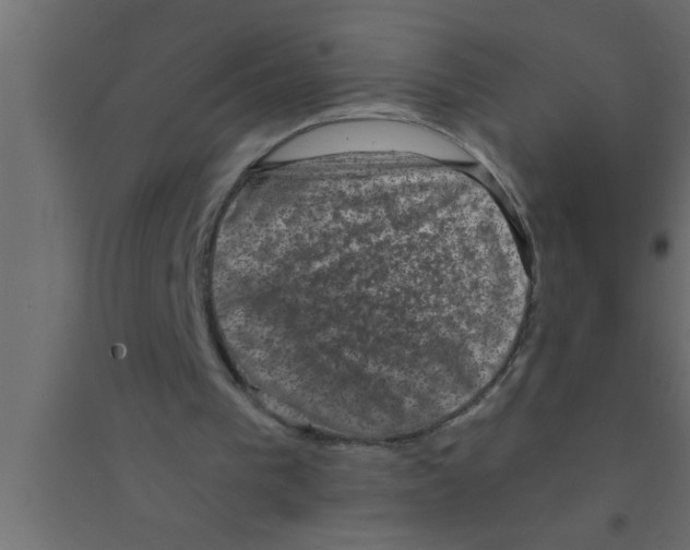 X0000094210193200711241707