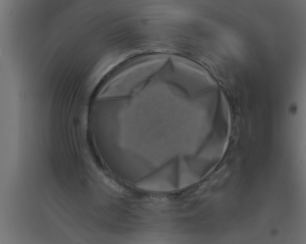 X0000094210194200711241707