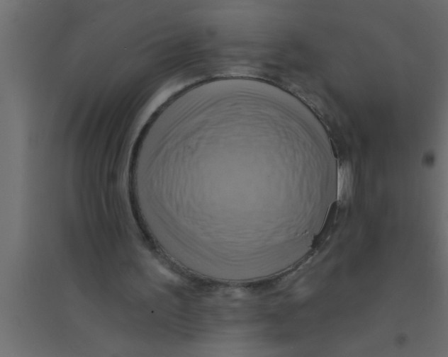 X0000094210195200711241707
