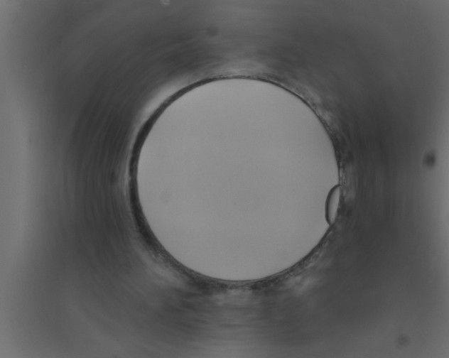 X0000094210196200711241707