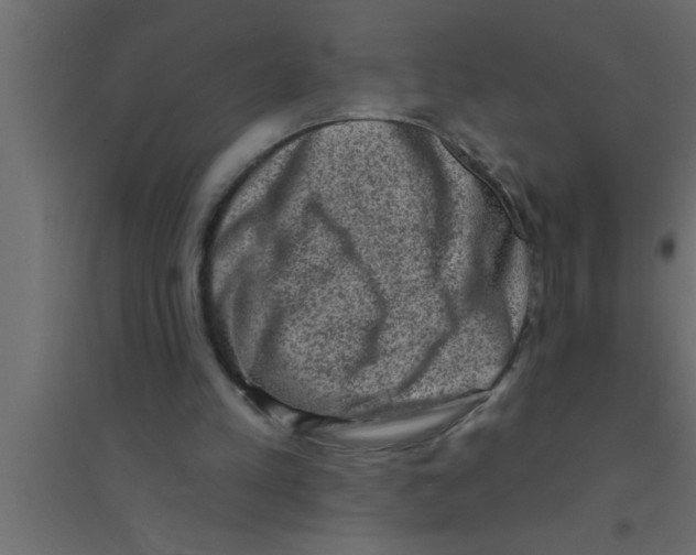 X0000094210197200711241707