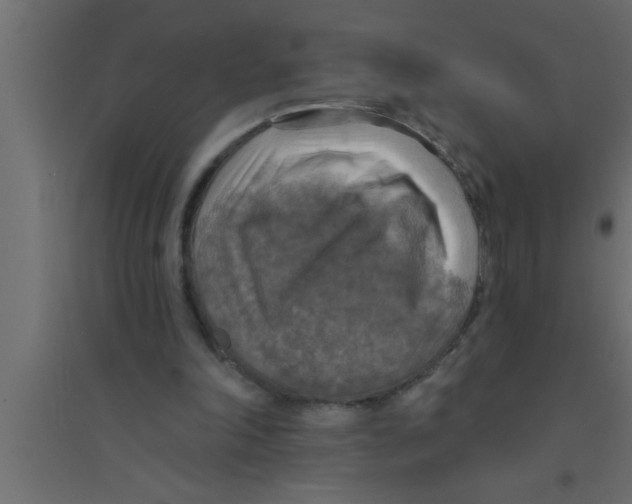 X0000094210198200711241707