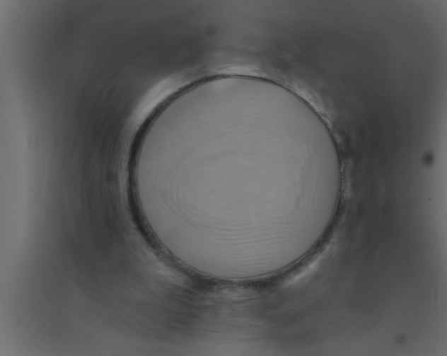 X0000094210199200711241707