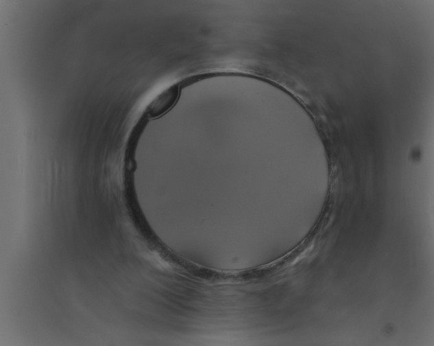 X0000094210200200711241707