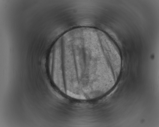 X0000094210201200711241707