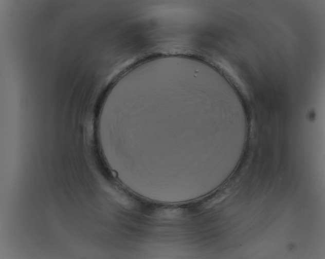 X0000094210202200711241707