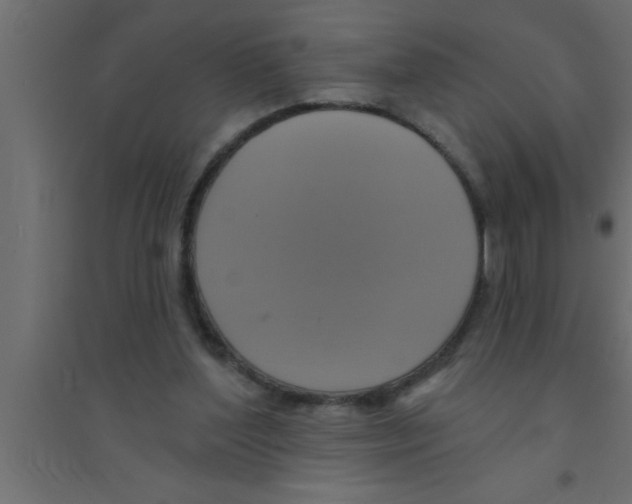 X0000094210204200711241707