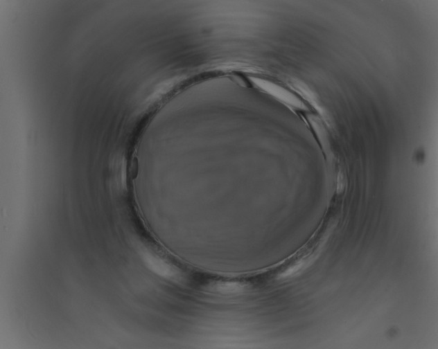 X0000094210205200711241707