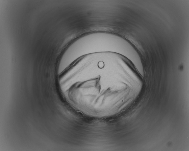 X0000094210207200711241707