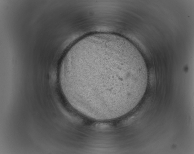 X0000094210208200711241707