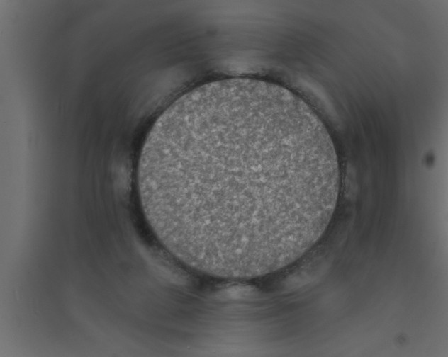 X0000094210210200711241707