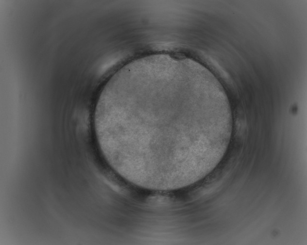 X0000094210211200711241707