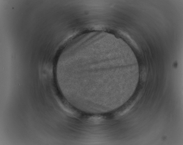 X0000094210213200711241707