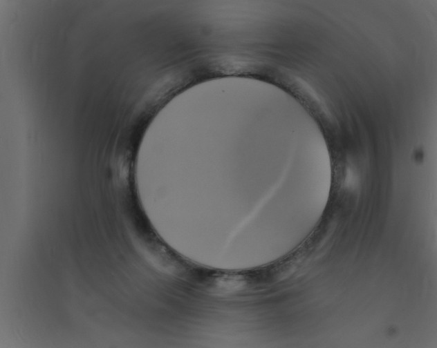 X0000094210214200711241707