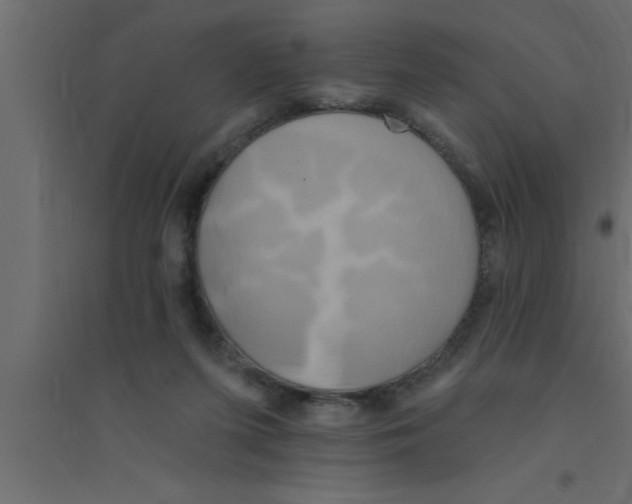 X0000094210215200711241707