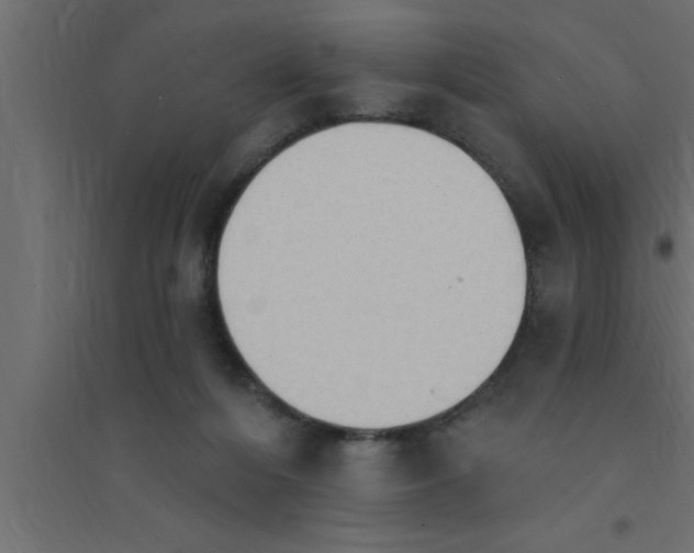 X0000094210216200711241707