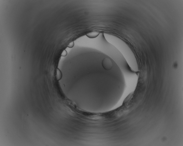 X0000094210219200711241707