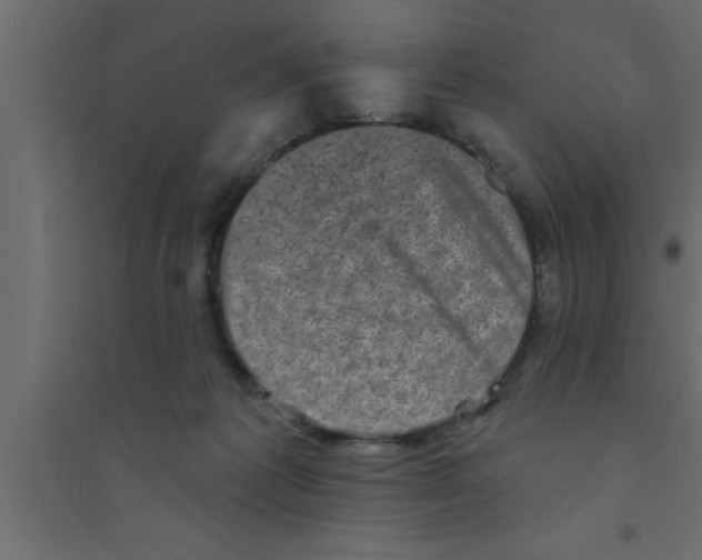 X0000094210221200711241707