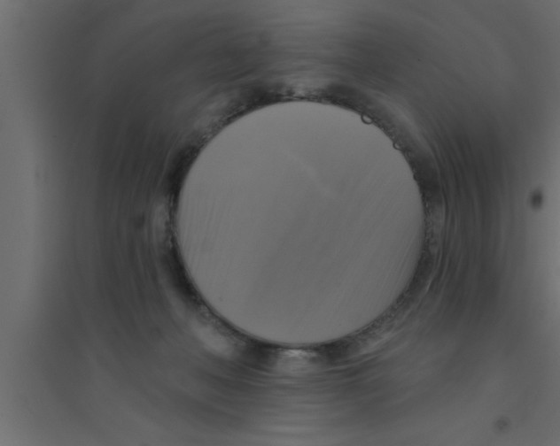 X0000094210222200711241707