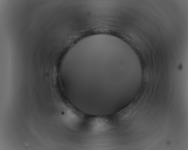 X0000094210223200711241707