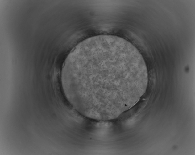 X0000094210225200711241707