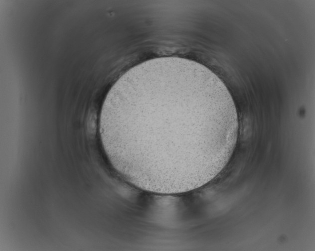X0000094210226200711241707