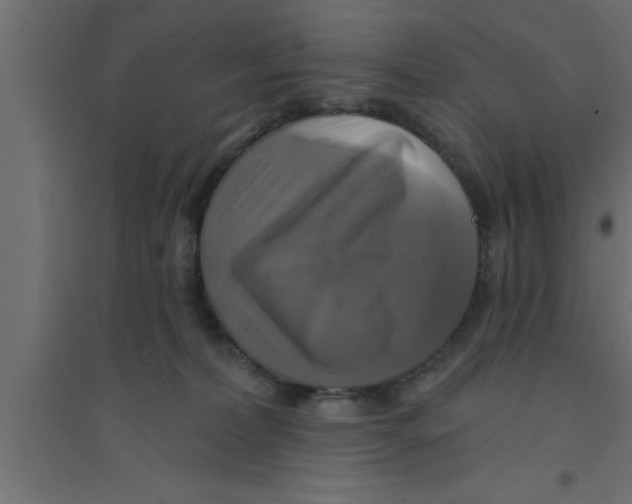 X0000094210228200711241707