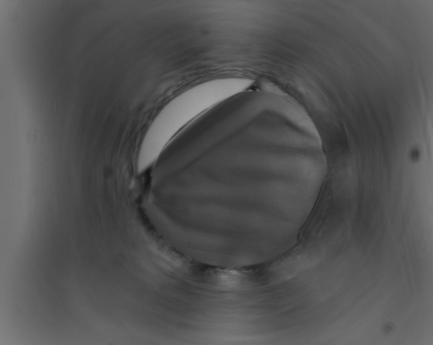 X0000094210229200711241707
